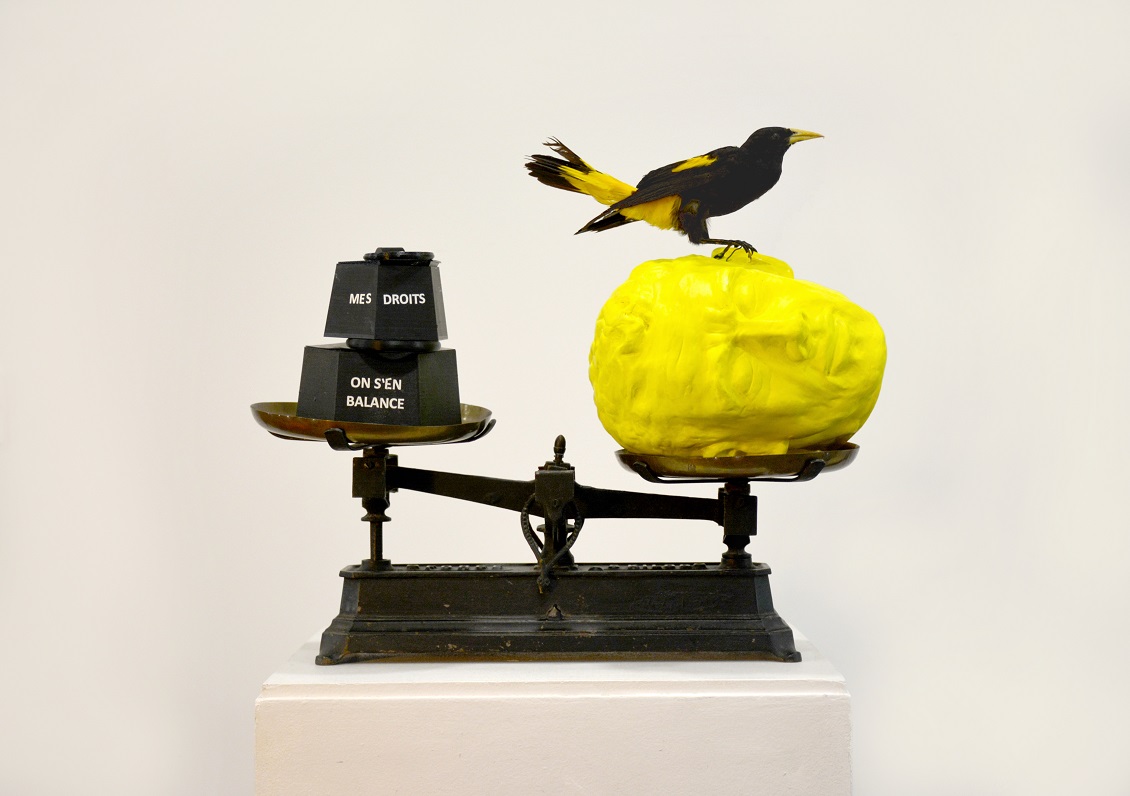 Mes droits on s'en balance - tête en argile peint, balance, oiseau taxidermie - MCMA Marrakech2021 